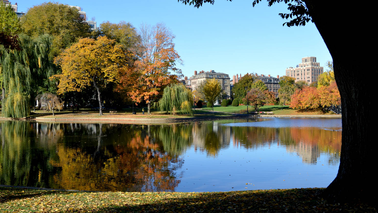 Boston Public Garden