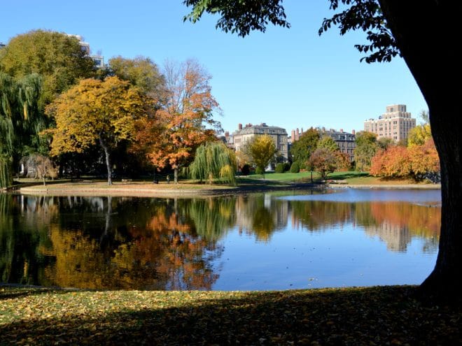 Boston Public Garden